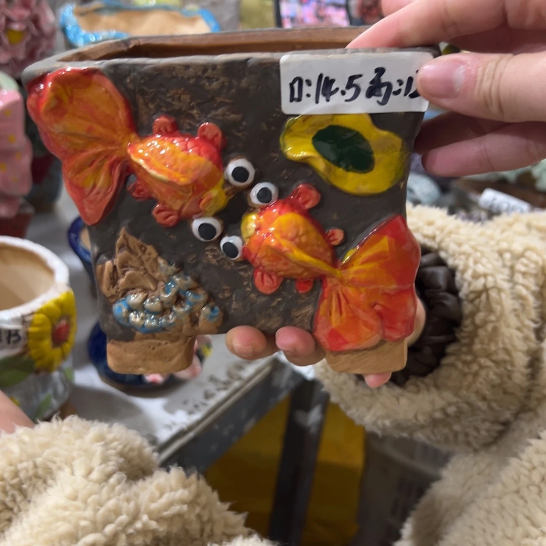 花盆，拍满20发货，退款拉黑