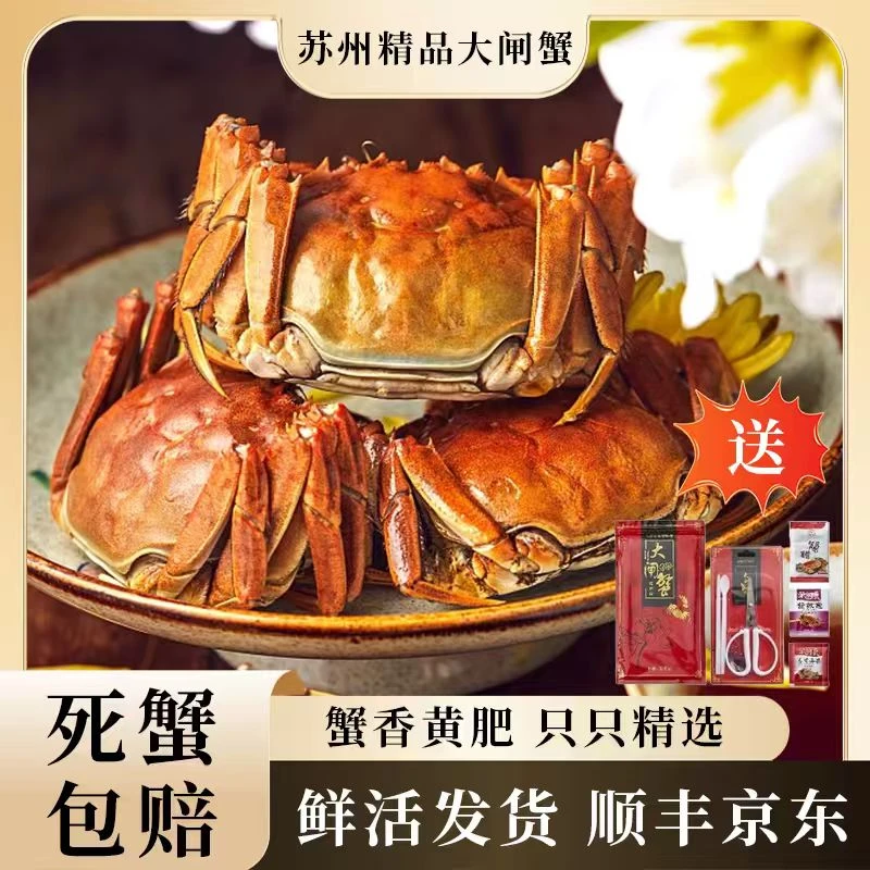 【活蟹】苏州精品大闸蟹 全母蟹 2.5两 8只/10只礼盒装鲜活发货
