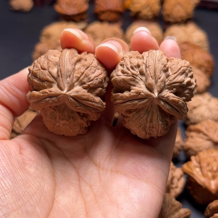 零*力元宝三棱核桃哈哈哈哈哈哈