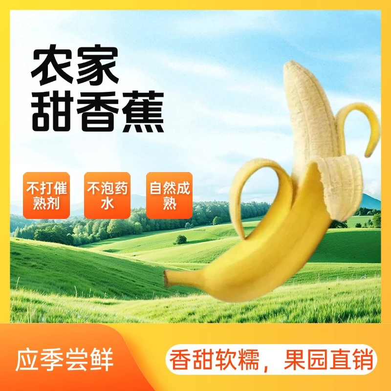 农家新鲜甜香蕉10斤自然成熟农家果园