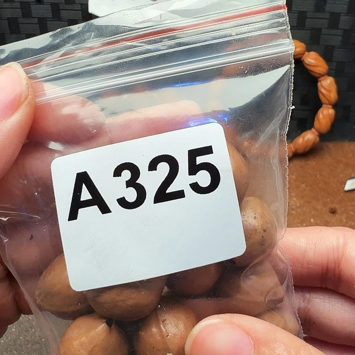 西***北手串/手链橄榄核橄榄