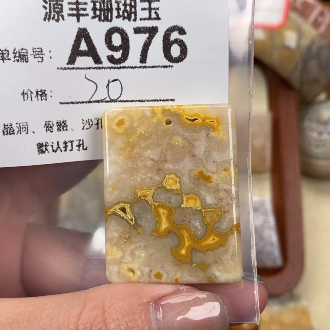 硅化玉颈饰未镶嵌t*o