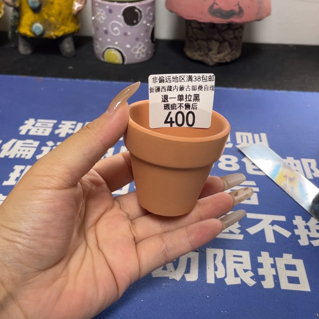 特价微瑕疵不退不换哦400