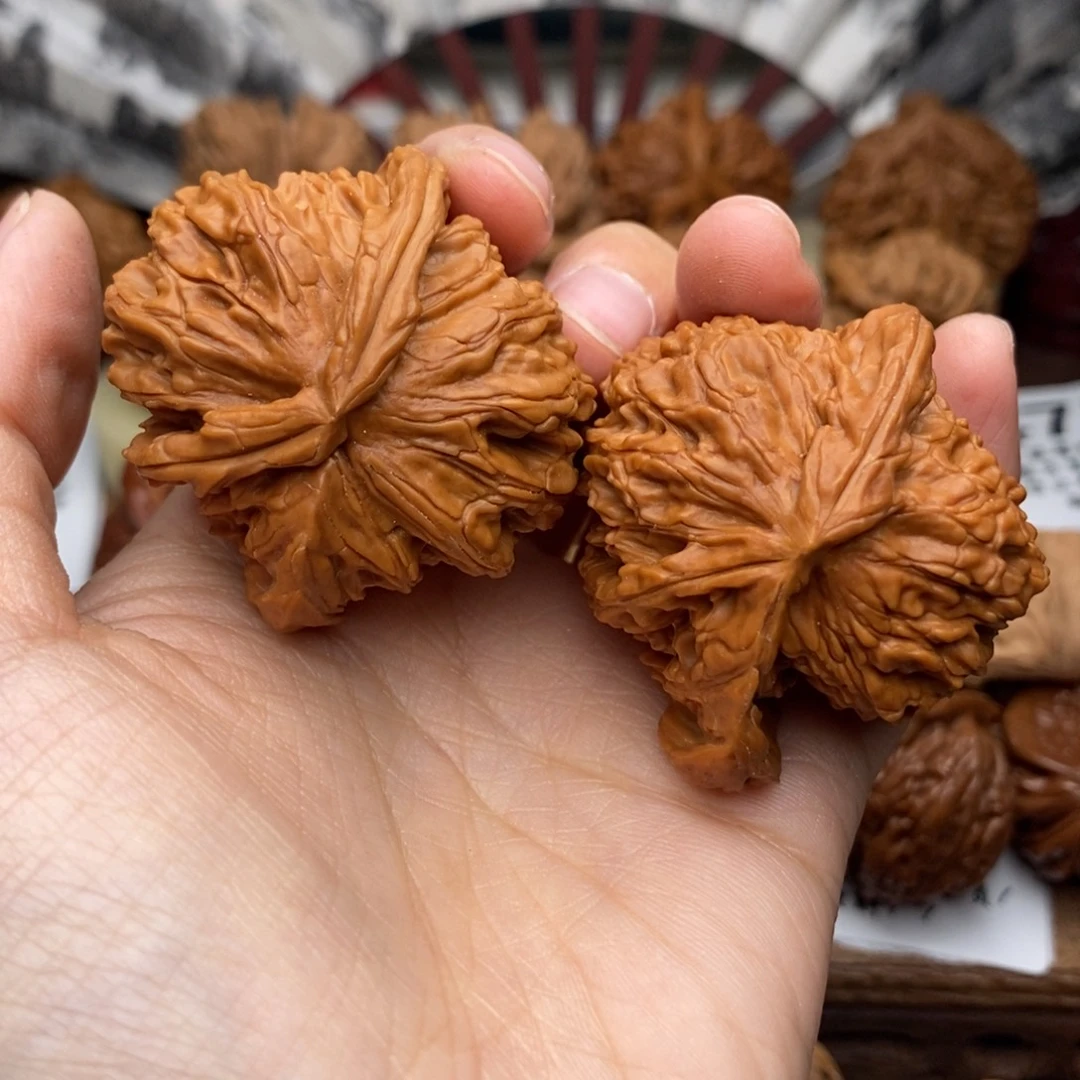 文玩核桃把件330号45白狮子角