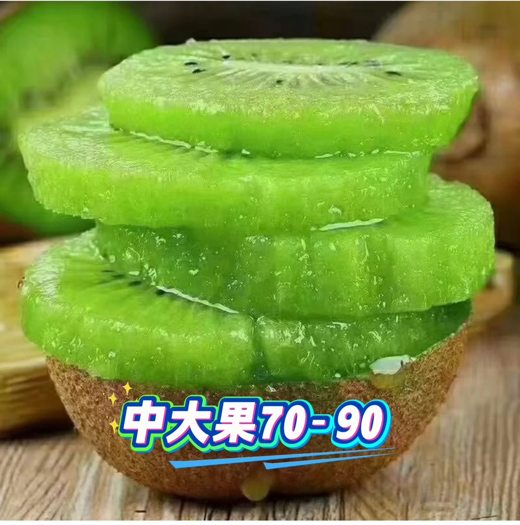 正中修文贵长猕猴桃新鲜采摘当季水果 中果 70g-85g