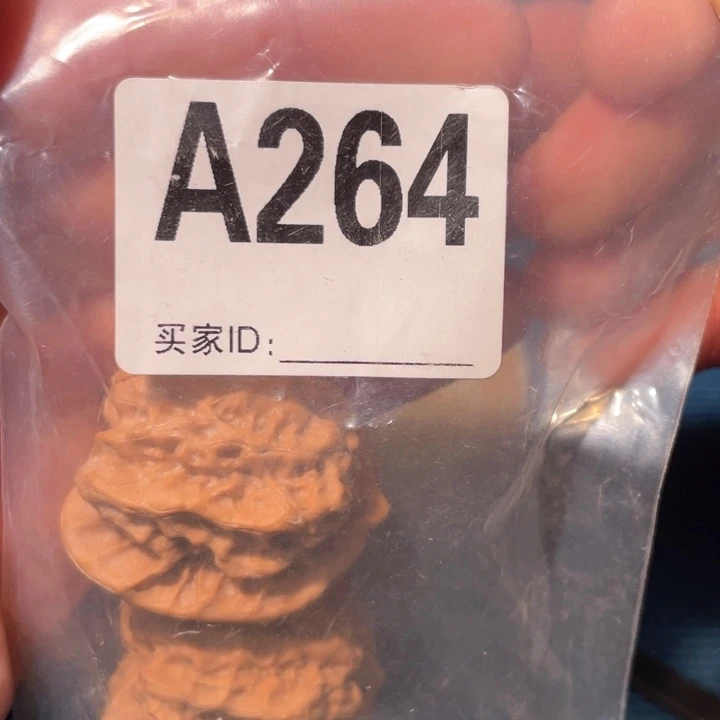 文玩核桃把件哦**哦264磐石