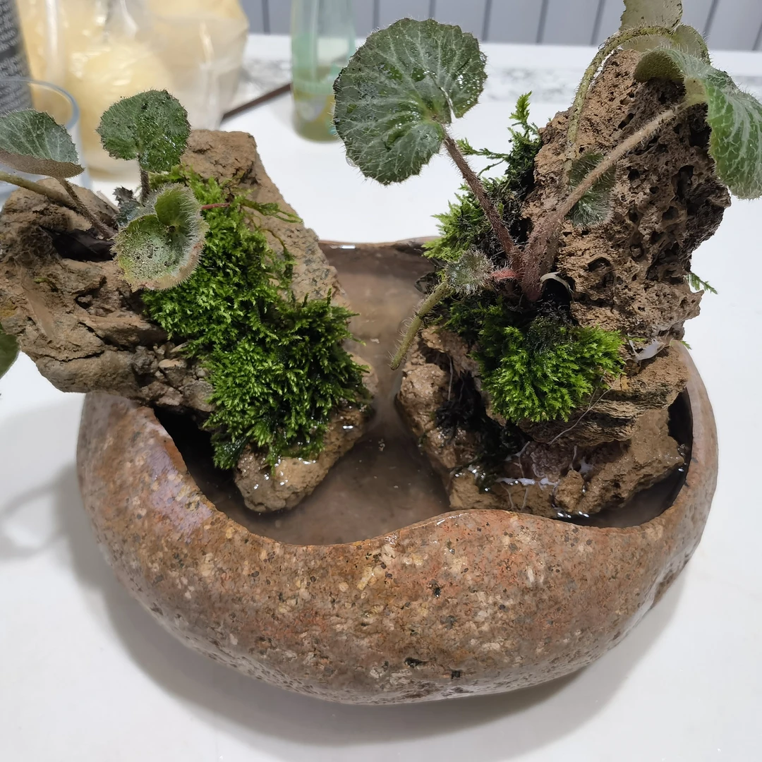 石头花盆,吸水石盆景,可定制。