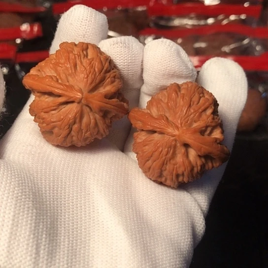 文玩核桃把件白狮子39