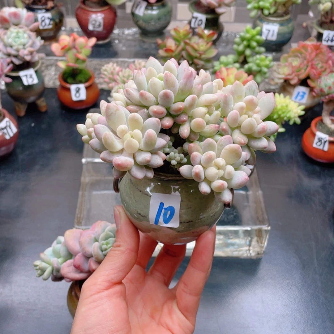 无铅玻璃青*花器花器花器花器