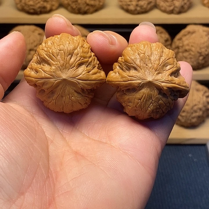 核桃39铁锤妹妹福利