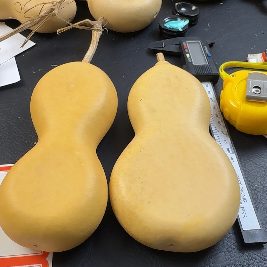 日***河大叶紫檀（黑酸枝木类）