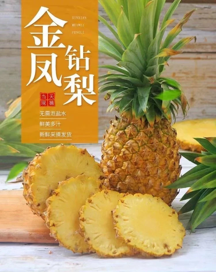 礼盒装 海南新鲜当季金钻凤梨 自然成熟脆甜多汁 果地现摘现发
