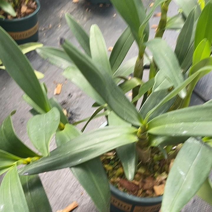 完全开放无需多言