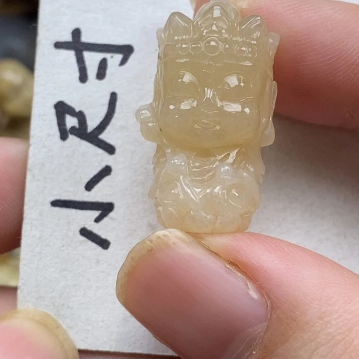 硅化珊瑚（珊瑚玉）未镶嵌颈饰