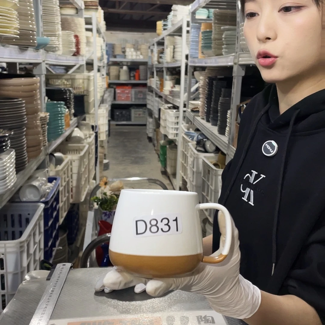 瓷片831               2个