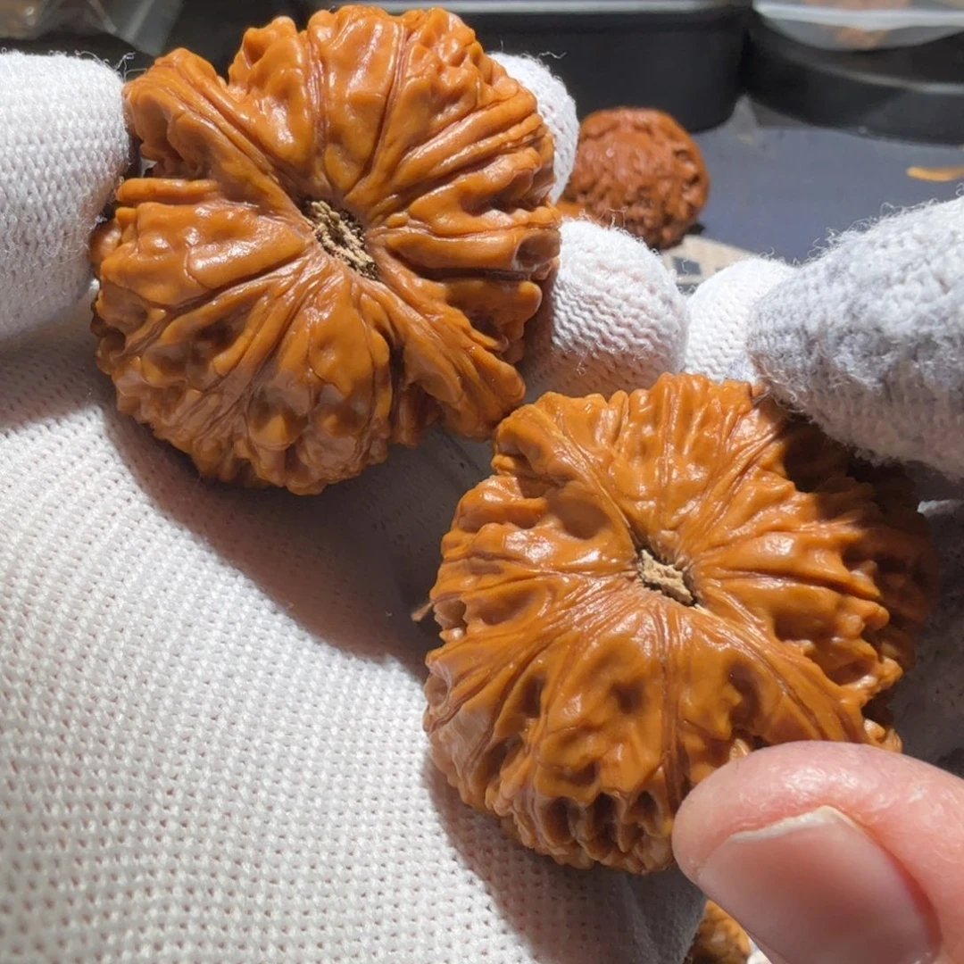 文玩核桃把件水龙纹