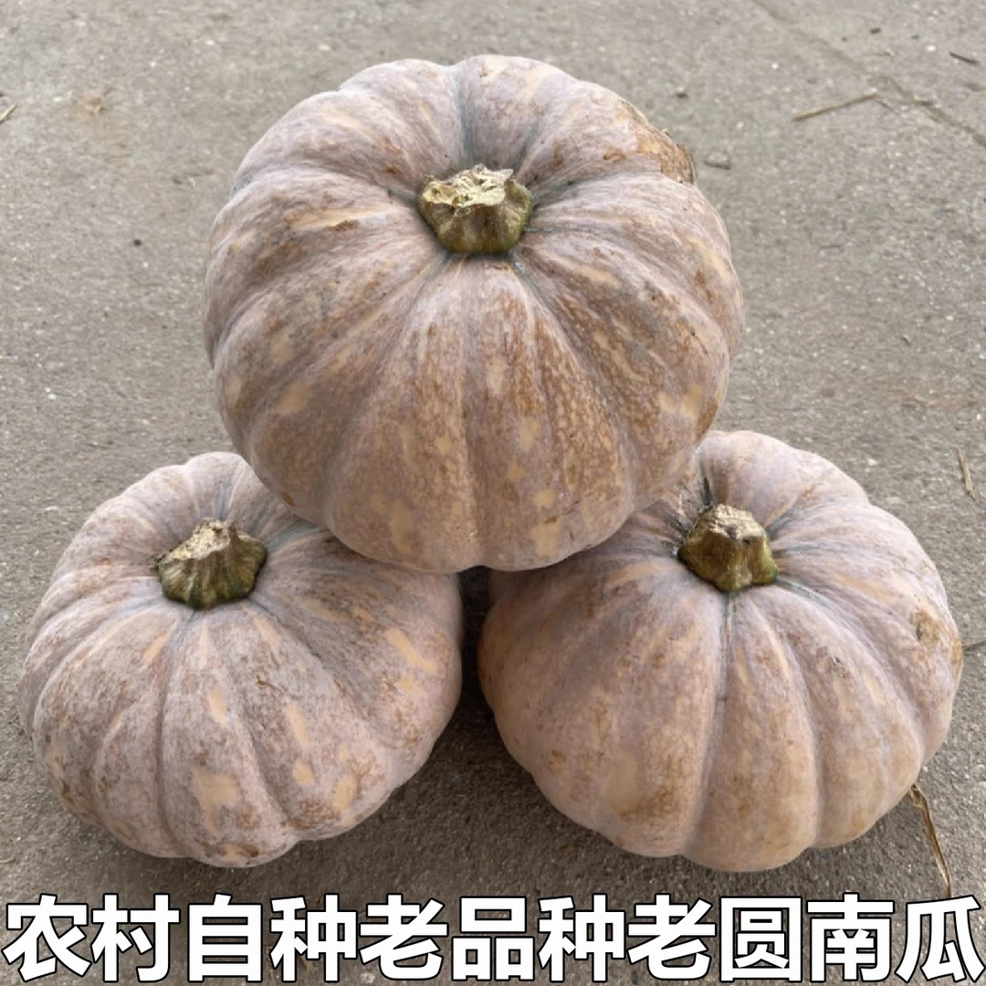【包邮】湖南湘西农家现摘老品种南瓜软糯清香老南瓜盘龙南瓜