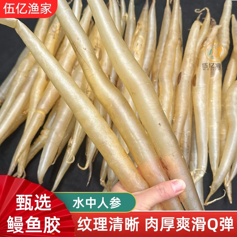 10-15头精挑收藏级鳗鱼胶麻花胶送礼佳品营养炖煮美味炖汤煲汤