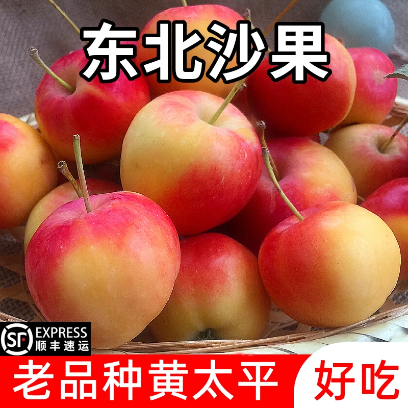 【酸甜脆】东北沙果黄太平海棠果沙果顺丰新鲜水果糖心非鸡心果非K9