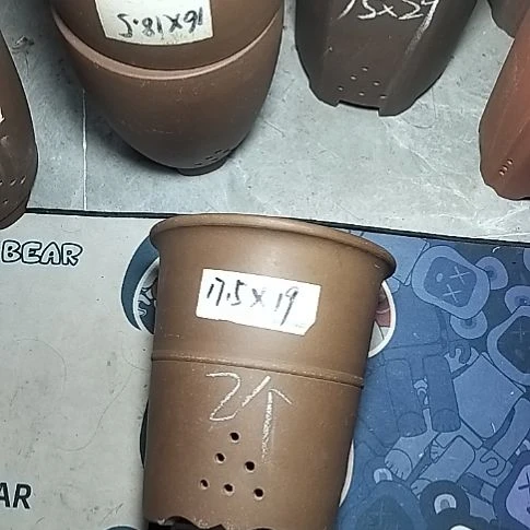 腰缠万贯两个微瑕