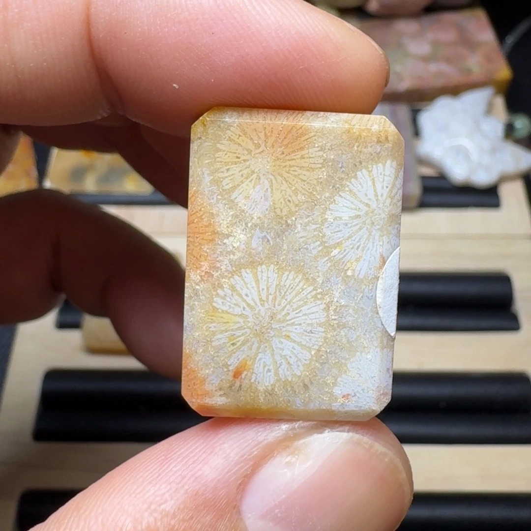 未镶嵌纯天然色有机玉石保真色硅化玉