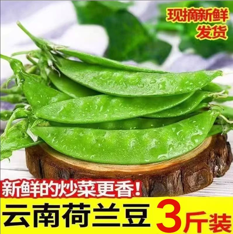 云南当季新鲜荷兰豆现摘现发豌豆角甜脆当季农家蔬菜