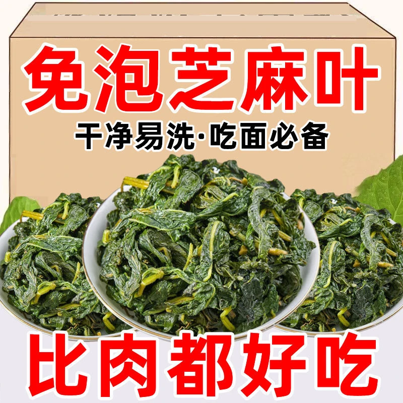 25年新鲜湿芝麻叶精选嫩叶河南特产500克南阳特产干芝麻叶好祥吃