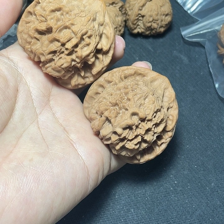 大官帽53尺