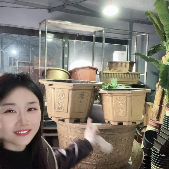 八角50花盆2个有孔