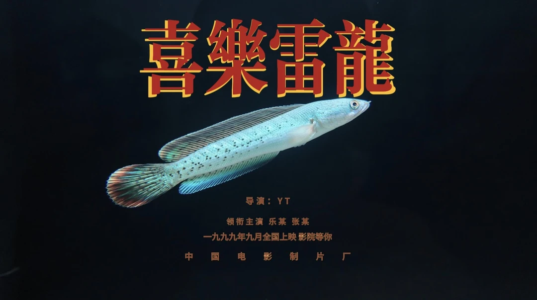 黄金眼镜蛇雷龙巴卡雷龙鬼王雷龙观赏性强互动性高