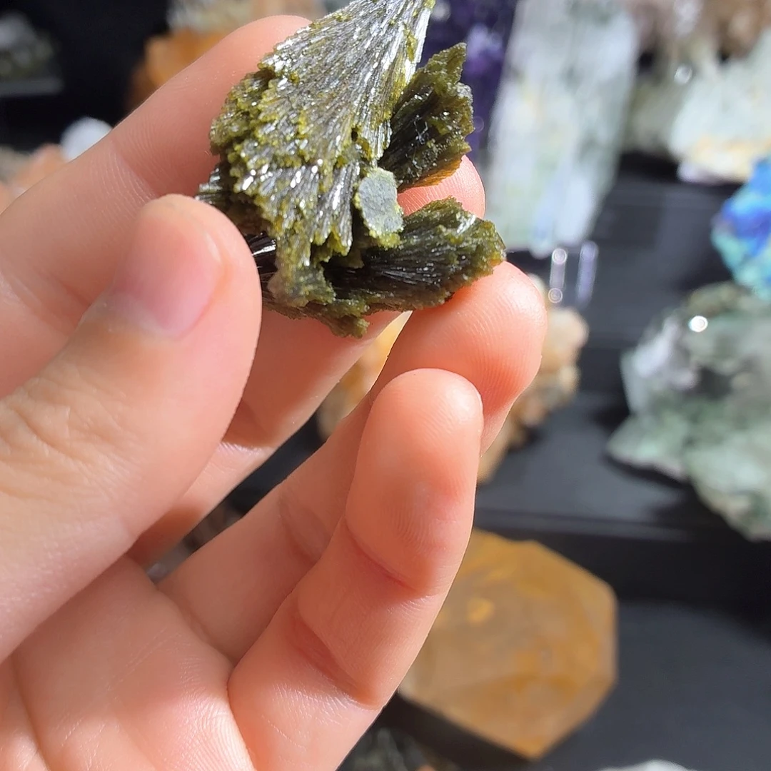 有机玻璃绝美绿帘捡漏啦