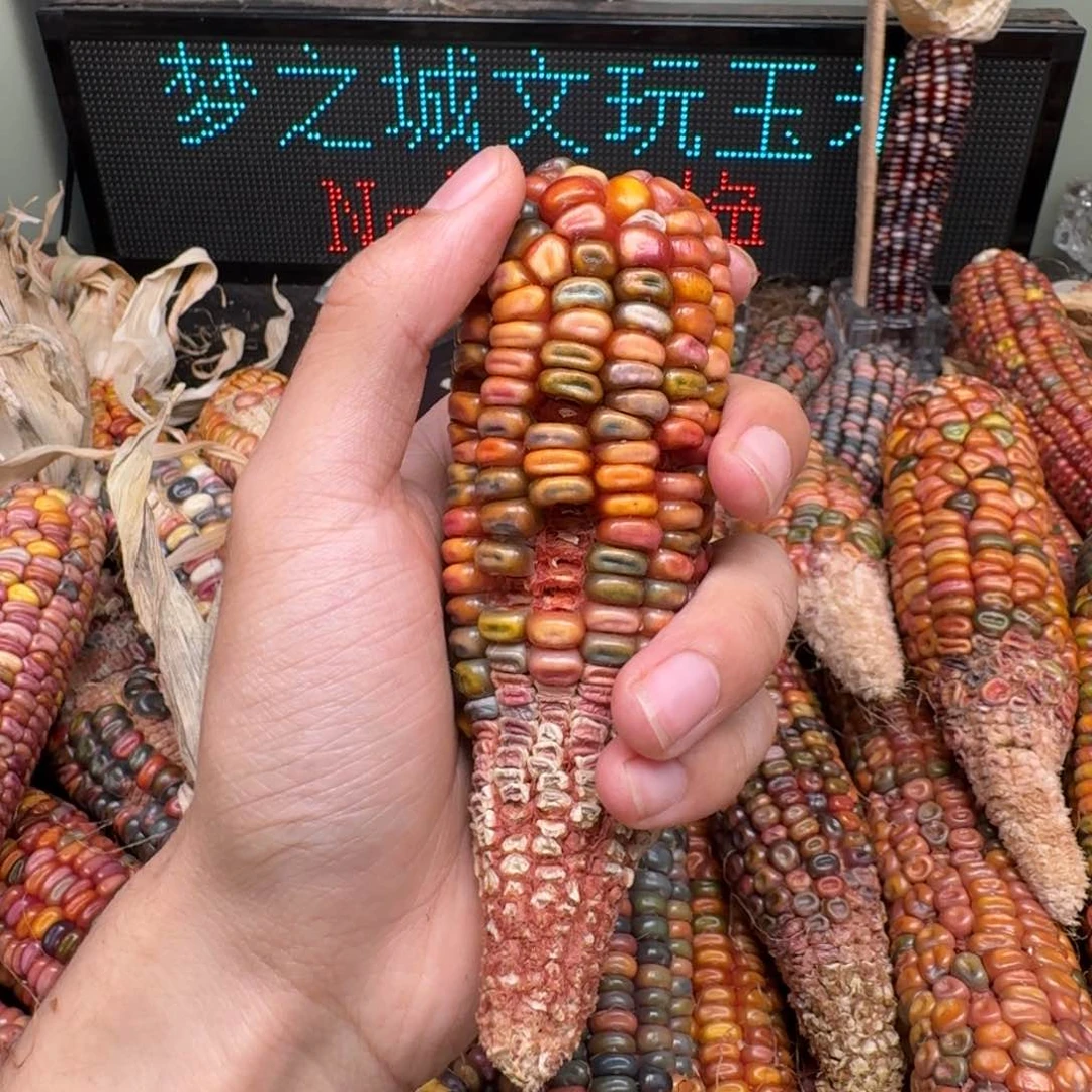 柏香籽/百香籽吊坠佩**姐
