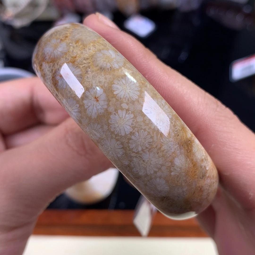 硅化珊瑚（珊瑚玉）未镶嵌吊坠(赠链)13号金黄底白皮雏菊55圈