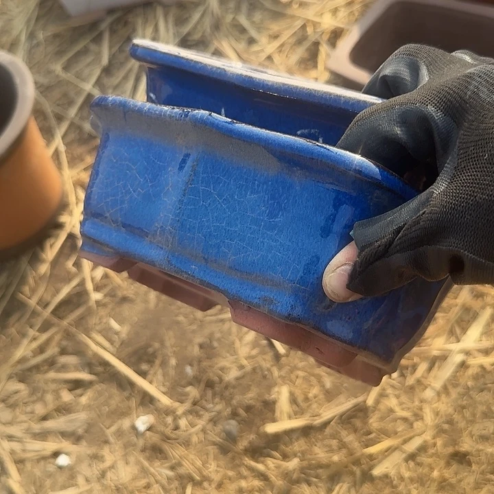 紫砂杯及茶杯均在当地进行着