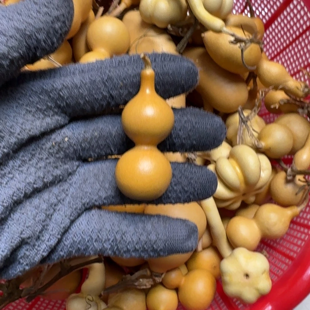 与***熊葫芦葫芦葫芦葫芦葫芦