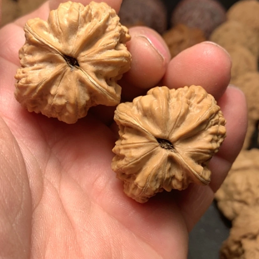 【闪购商品】C***界赤龙鸡心