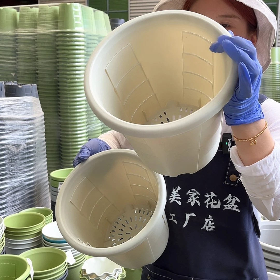 玫瑰盆240#米白色5个无托