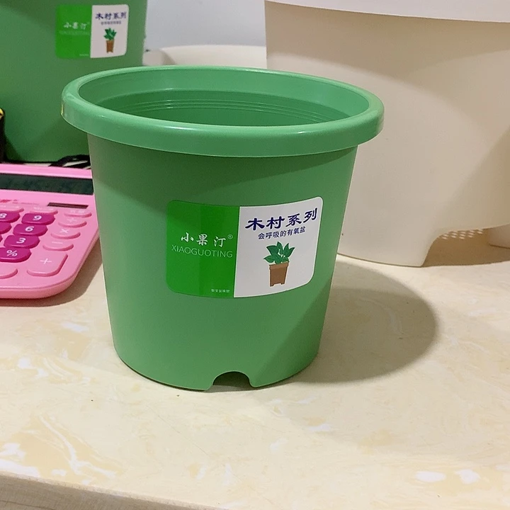 小果汀15绿10个带托