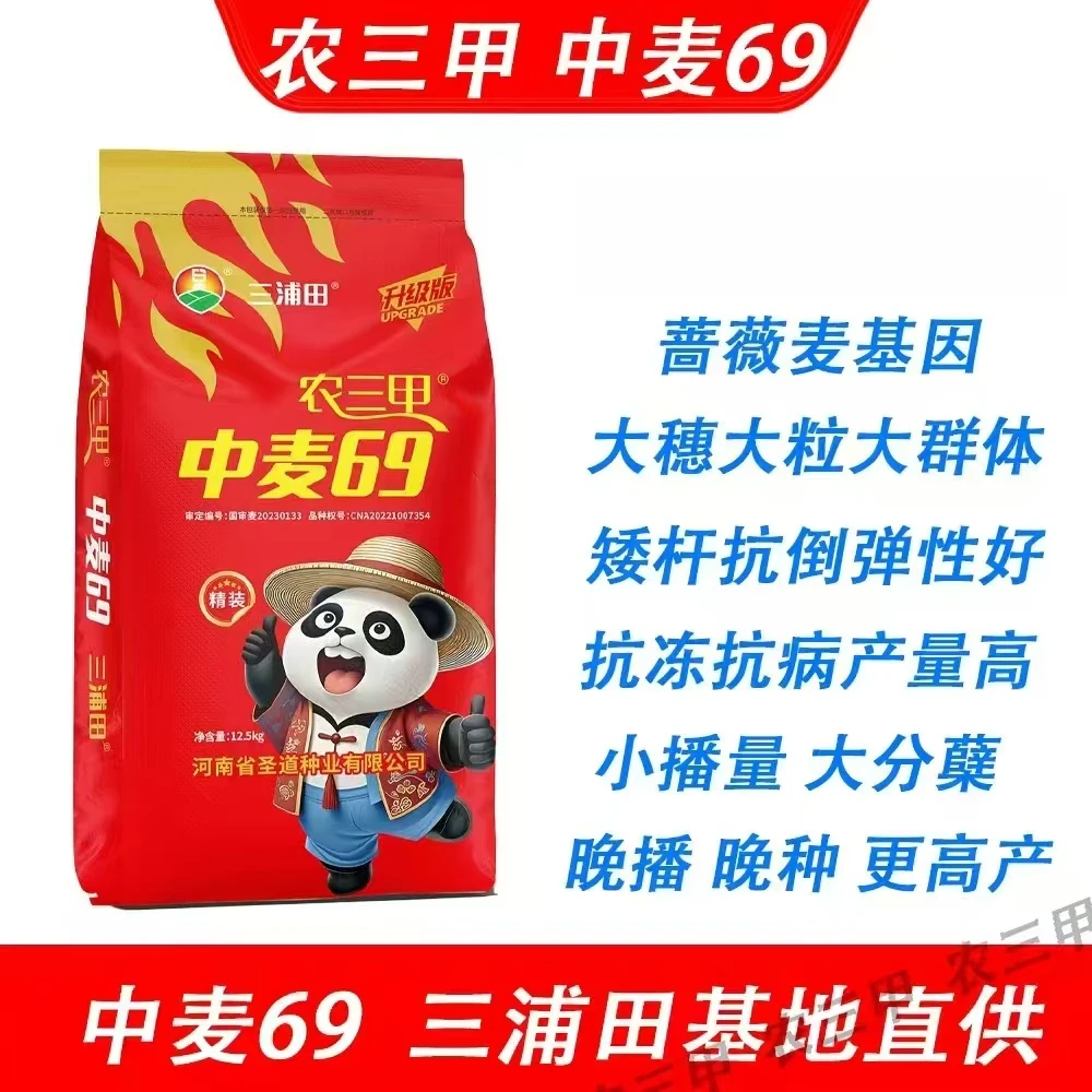 农三甲中麦69（辰科  杜）角质粮抗倒伏能力强 冬性小麦品种