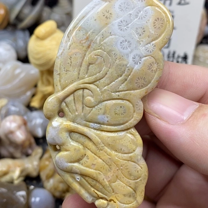 硅化珊瑚（珊瑚玉）未镶嵌颈饰