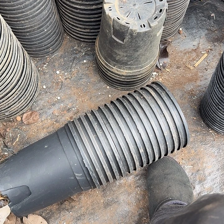 加仑盆口径18高19发7个