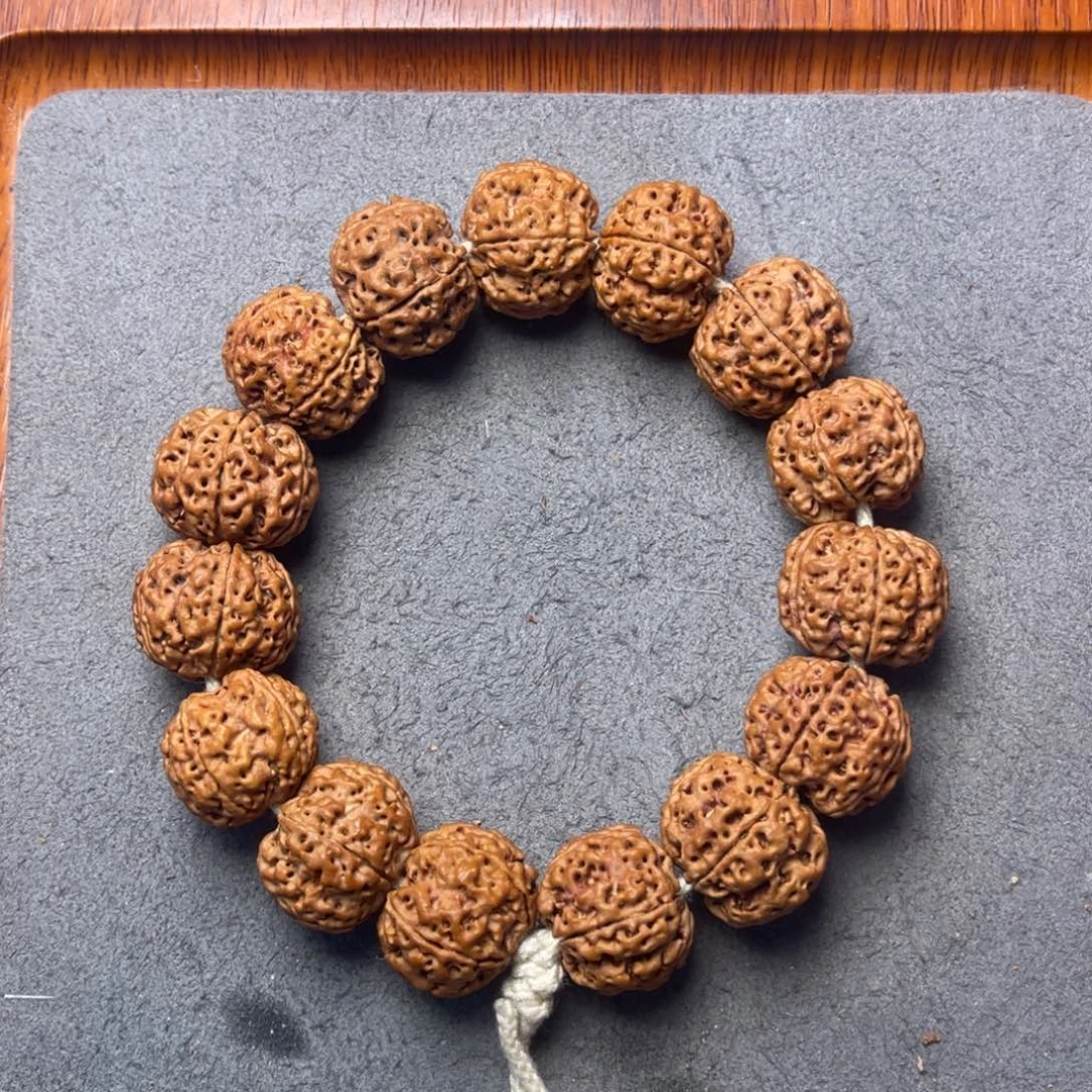 菩提23号金刚菩提蜂窝梅花20