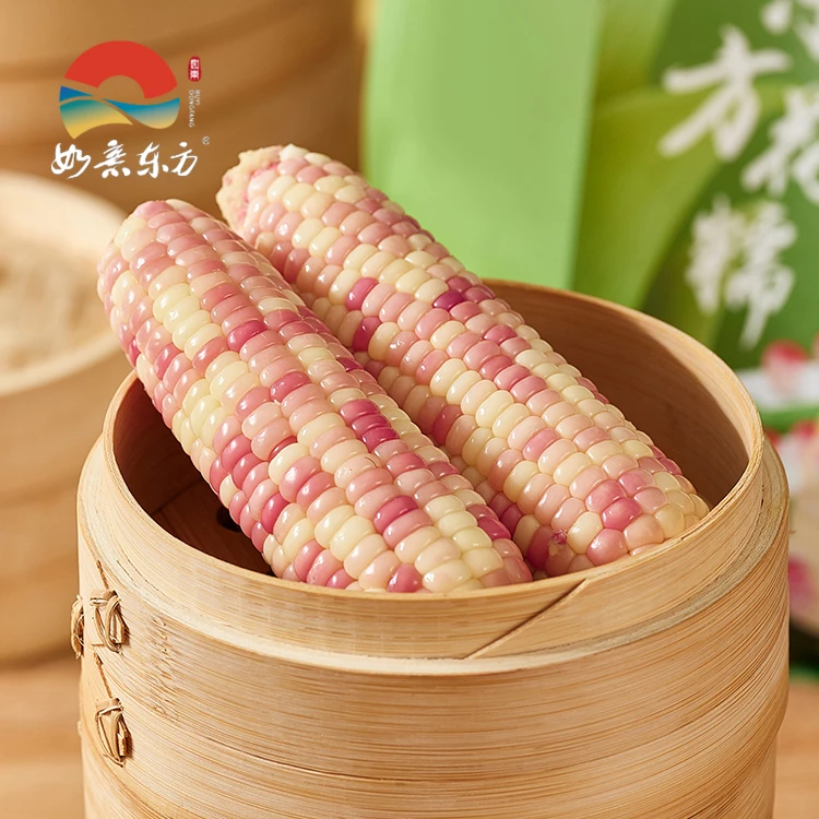 如意东方花糯玉米自然生长美味清香儿童老人适宜营养丰富
