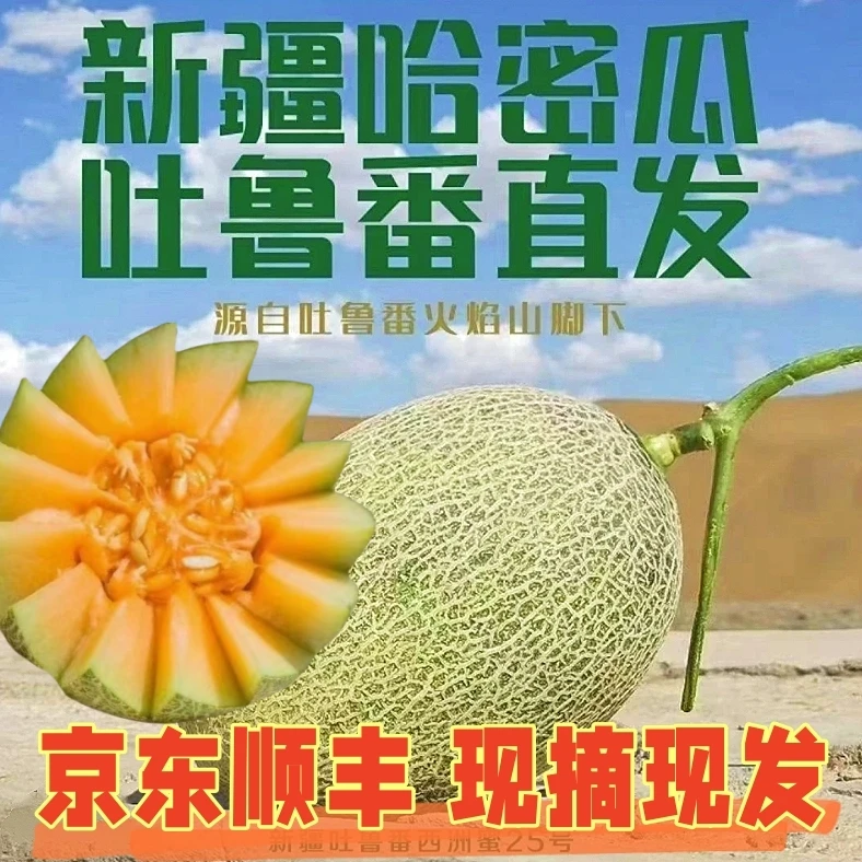 【京东顺丰】新疆哈密瓜正宗西州蜜25号吐鲁番火焰山哈密瓜新鲜现摘