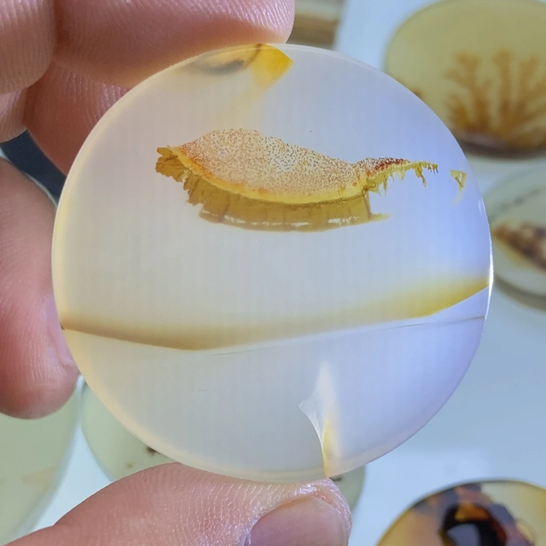 【闪购商品】未镶嵌颈饰玛瑙/玉髓牛****飞