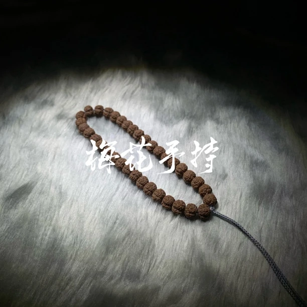 老树梅花手持小金刚菩提