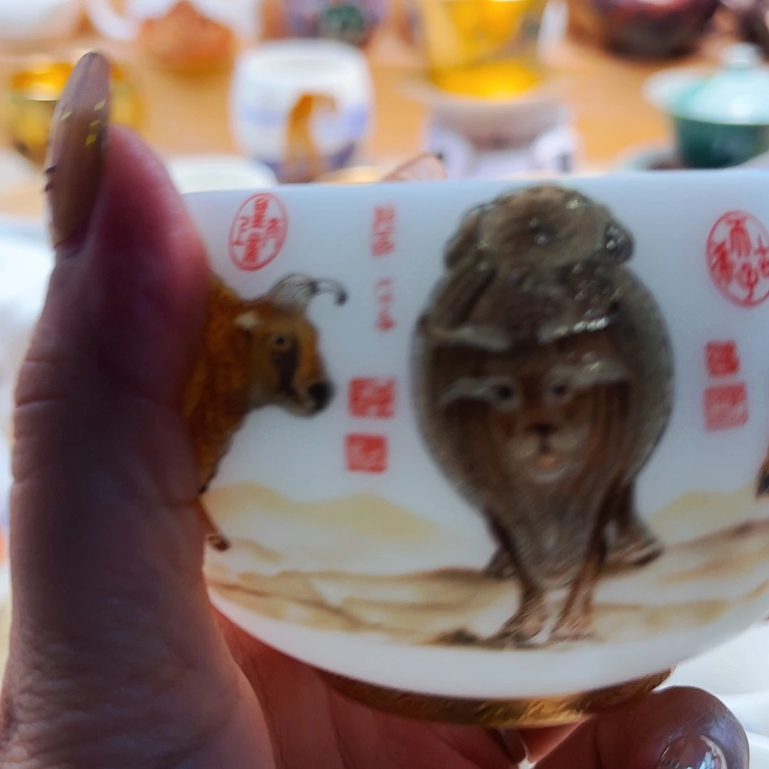 杯主人杯主人杯z让v系统v