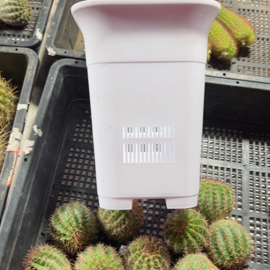 下大白万象150口径15高20无托盘20包邮