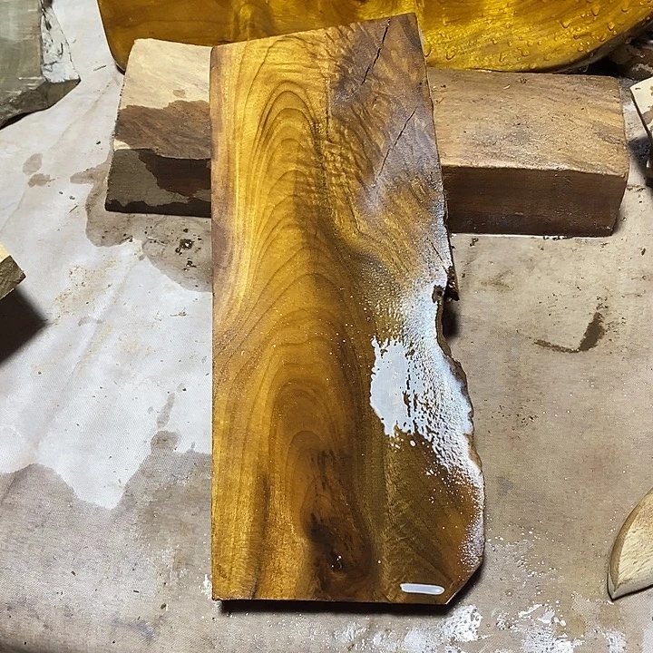 金丝楠木小叶桢楠木