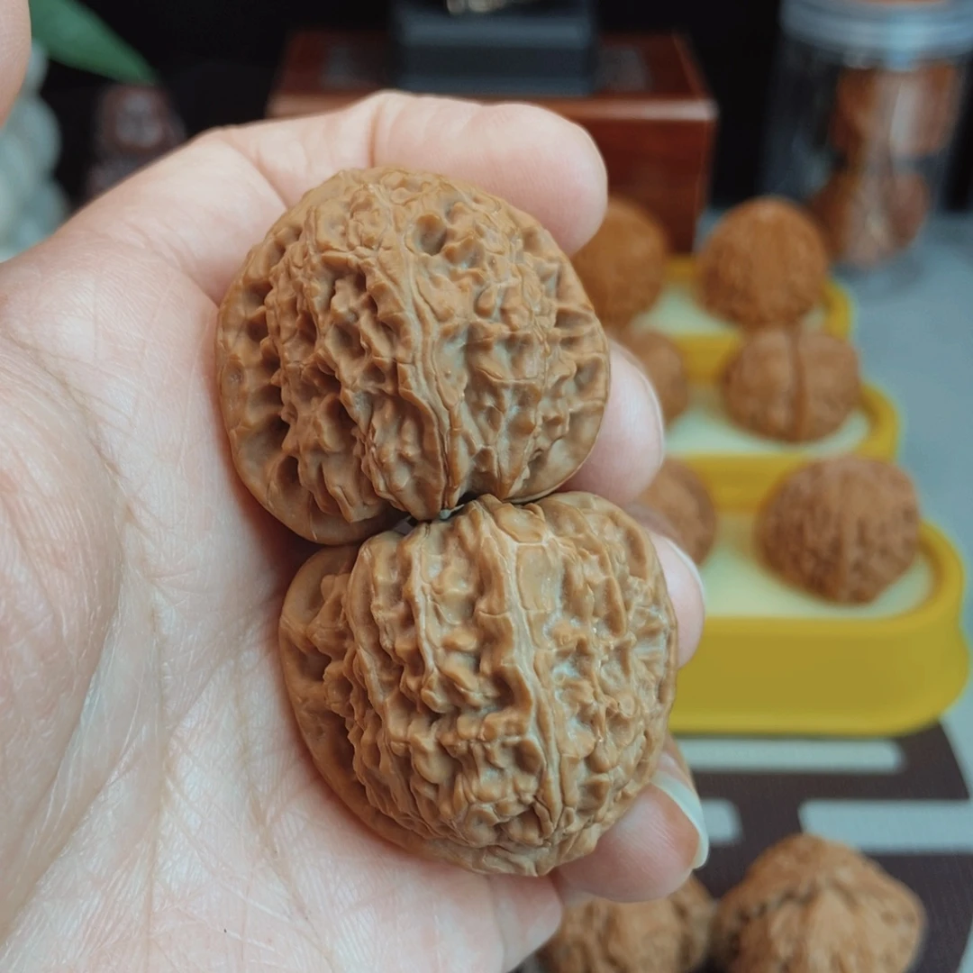 *****福利白狮子核桃手把件！